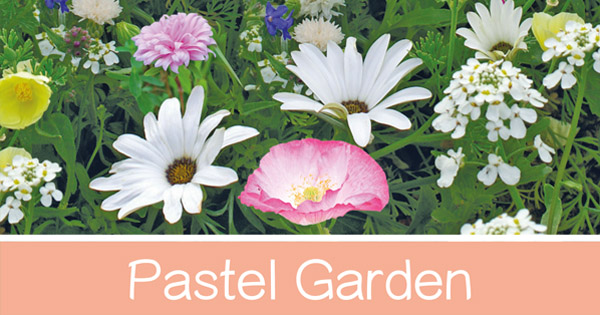 Pastel Garden