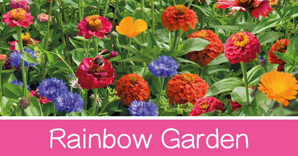 Rainbow Garden
